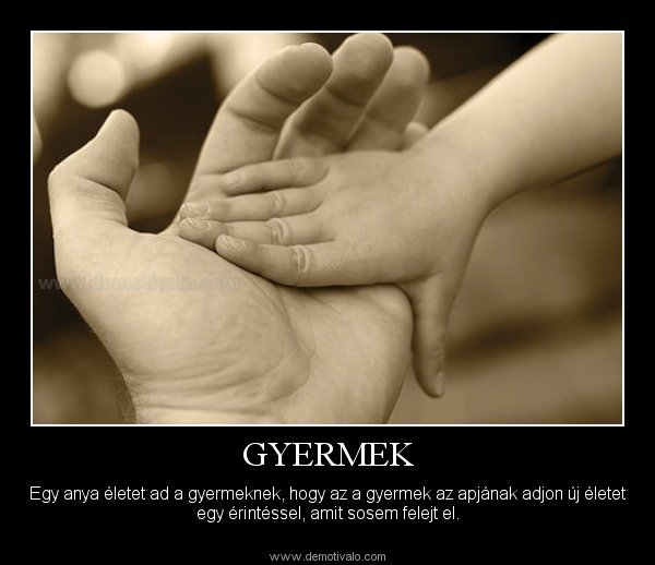 1327879502.2838-apafia-f