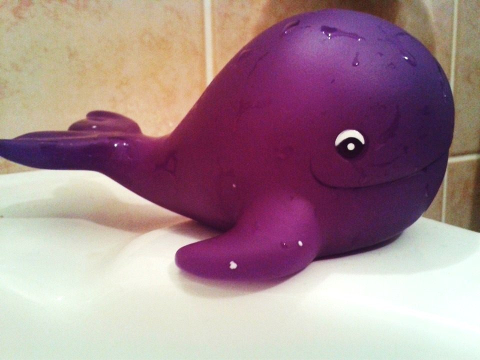 1381955_484727478300104_938544328_n