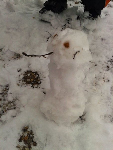 1795600_484731594966359_1228310330_n