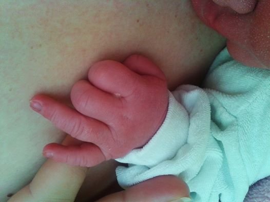 1959776_484686564970862_1129475735_n