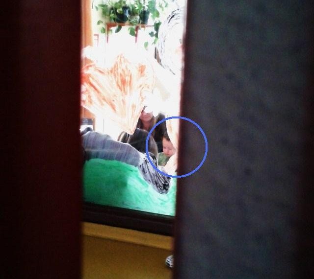 2014-09-24 12.03.44_karikas