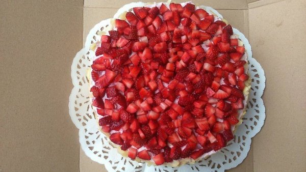 13010609_1143670705653425_9012251315751318806_n